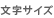 �����T�C�Y