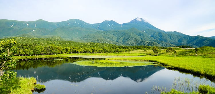 tokyo cruise to hokkaido