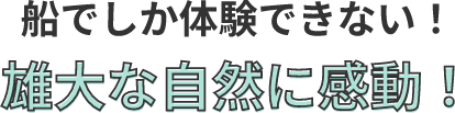 船でしか体験できない！雄大な自然に感動！